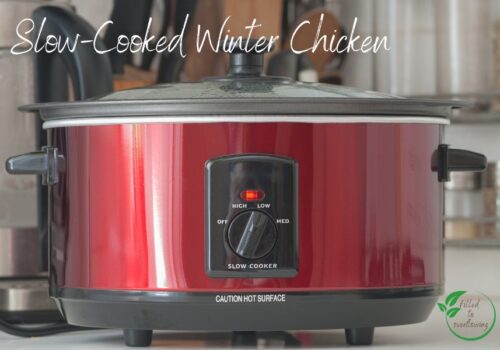 Slow-Cooked Winter Chicken