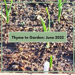Thyme to Garden: June 2022