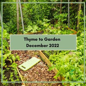 Thyme to Garden December 2022