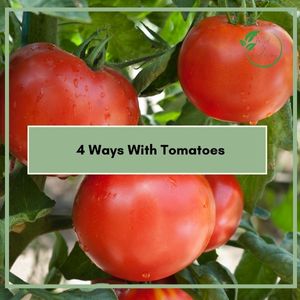 4 Ways with Tomatoes